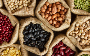 Alimentos